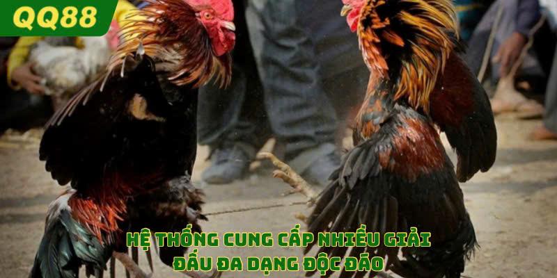 Nền tảng tổng hợp được rất nhiều giải đấu đa dạng