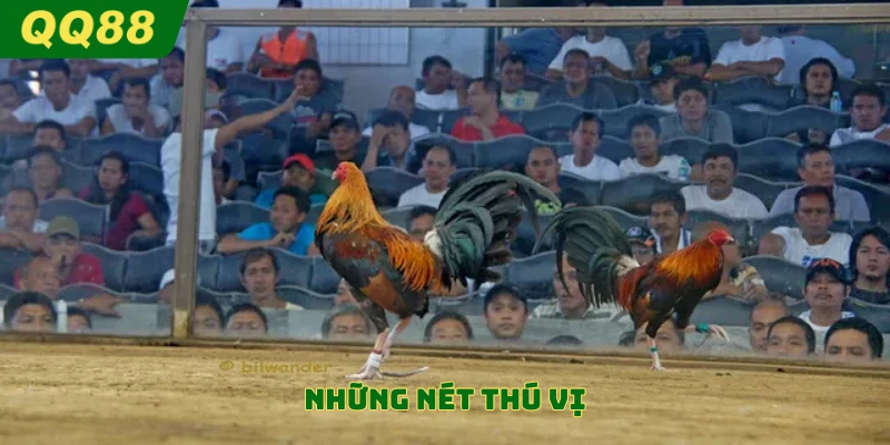 Những nét thú vị